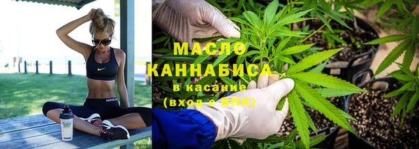 МДПВ Михайлов