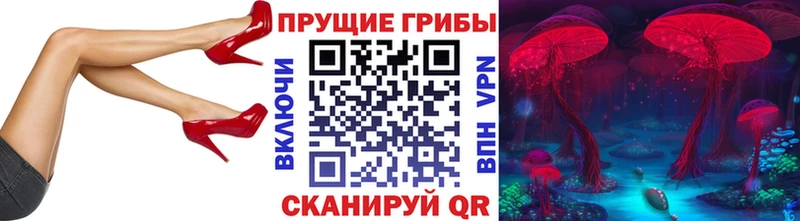 Галлюциногенные грибы Psilocybe Пойковский