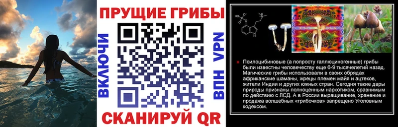 Галлюциногенные грибы Cubensis  магазин  наркотиков  Пойковский 